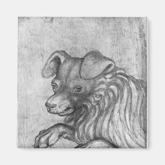 Imán Cabeza de un perro, del álbum The Vallardi (Frente)
