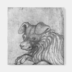 Imán Cabeza de un perro, el álbum de Vallardi