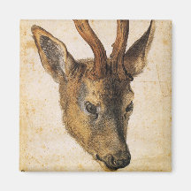 Cabeza de un Stag (Animal salvaje) (por Albrecht D