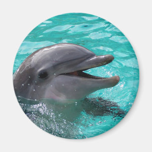 Imán Cabeza del delfín en agua del aquamarine