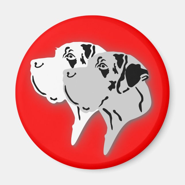 Imán Cabezas de Harlequín y Merle Dane (Frente)