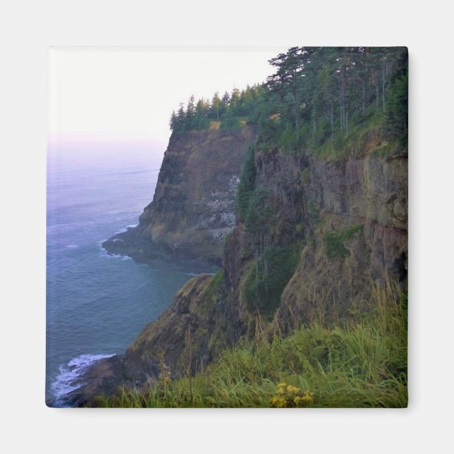 Imán Cabo Meares, Costa de Oregón (Frente)