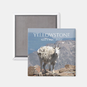 Imán Cabra de montaña, meseta de muerte congelada, Yell