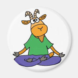 Imán Cabra divertida que hace yoga de la posición de