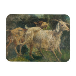 Imán Cabras (por Vincenzo Caprile)