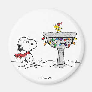Imán Cacahuetes   Baño de aves congelado Snoopy & Woods