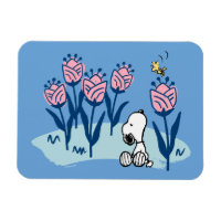 Cacahuetes | Jardín de flores Snoopy & Woodstock