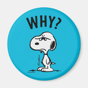 Imán Cacahuetes   Snoopy Se Pregunta Por Qué?