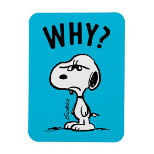 Imán Cacahuetes   Snoopy Se Pregunta Por Qué?