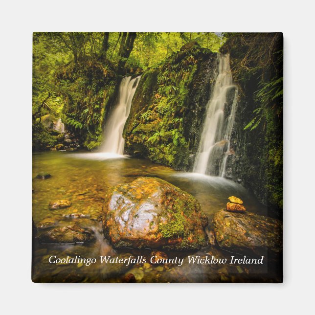 Imán Cacería de Coolalingo: la joya oculta de la natura (Frente)