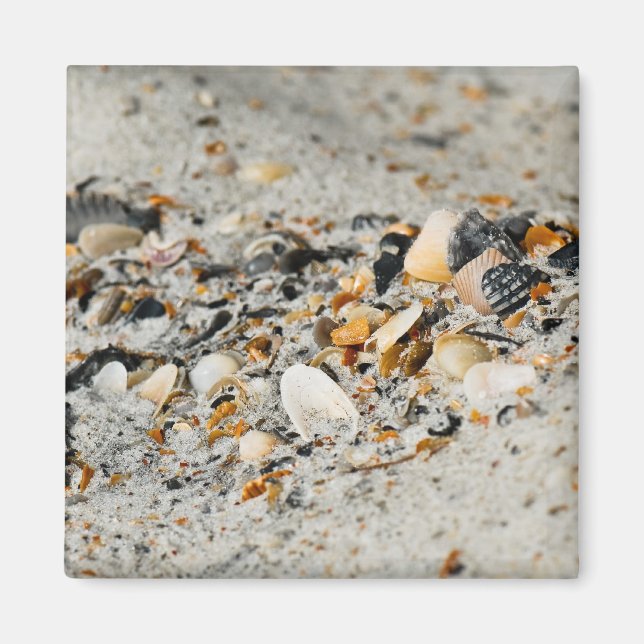 Imán Caché de shell (Frente)