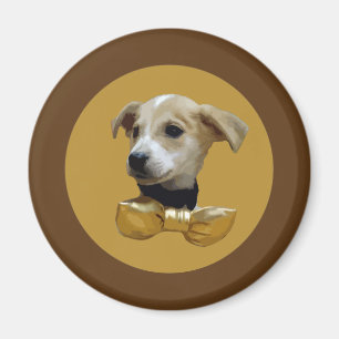 Imán Cachorro
