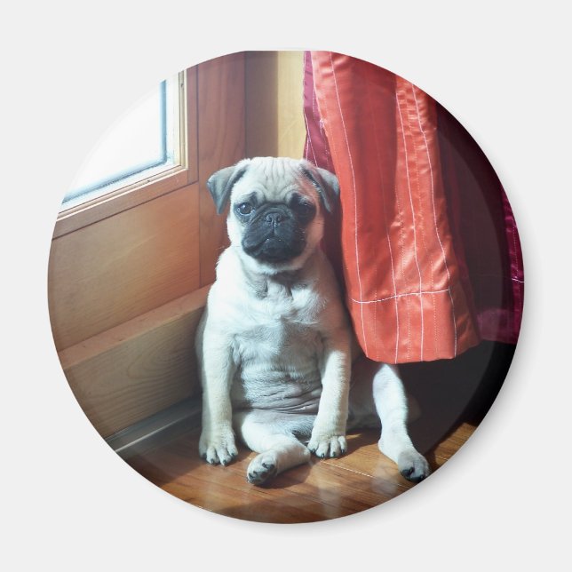 Imán cachorro 007 (Frente)