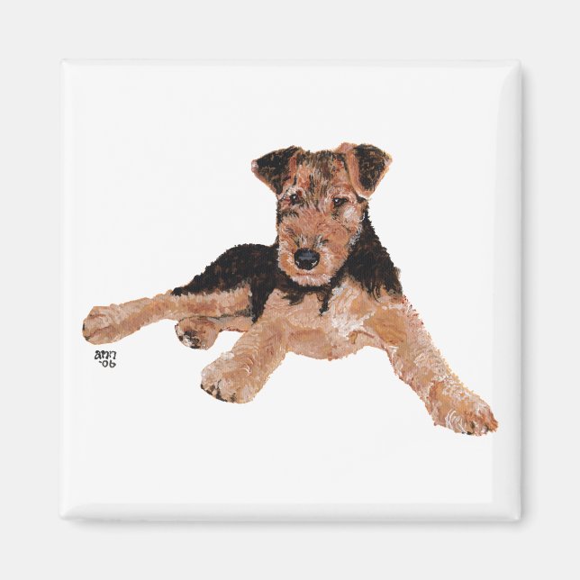 Imán Cachorro Airedale, Lakeland, Welsh Terrier (Frente)