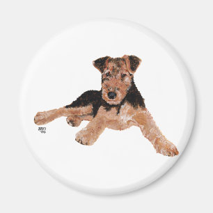 Imán Cachorro Airedale, Lakeland, Welsh Terrier