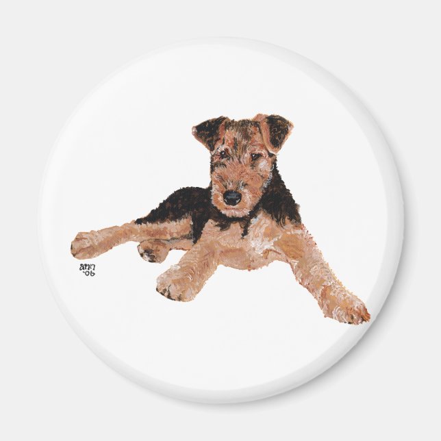Imán Cachorro Airedale, Lakeland, Welsh Terrier (Frente)