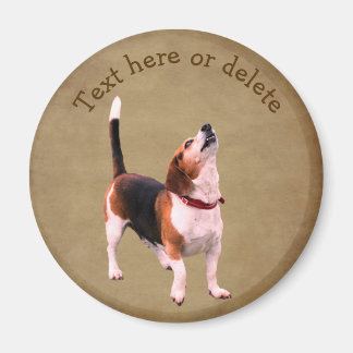 Imán Cachorro Beagle Personalizado Aullando Adorable