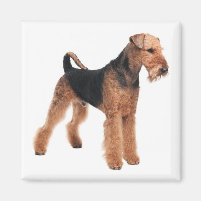 Imán Cachorro cachorro mamá Perro Lover Airedale Terrie (Frente)