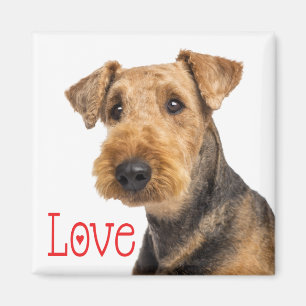 Imán Cachorro cachorro mamá Perro Lover Airedale Terrie