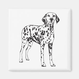 Imán Cachorro dálmata - Cachorro manchado blanco y negr
