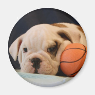 Imán Cachorro de Bulldog Inglés con Balón de Baloncesto