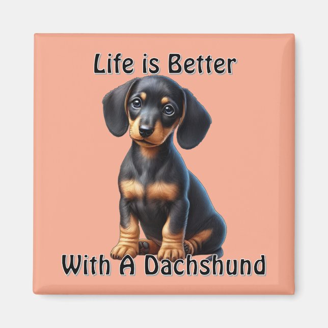 Imán Cachorro de Dachshund sentado y mirando con inocen (Frente)