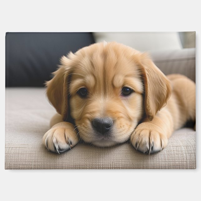 Imán Cachorro de Golden Retriever (Anverso)