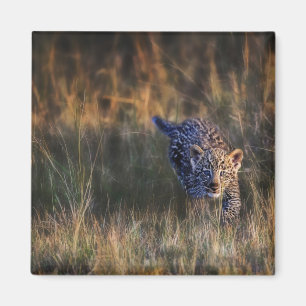 Imán Cachorro de leopardo Panthera Pardus