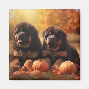 Imán Cachorro de Mastín Tibetano Otoño Delicia Calabaza