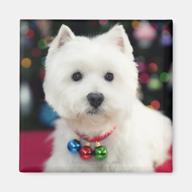 Imán Cachorro de Navidad con campana en el cuello (Frente)