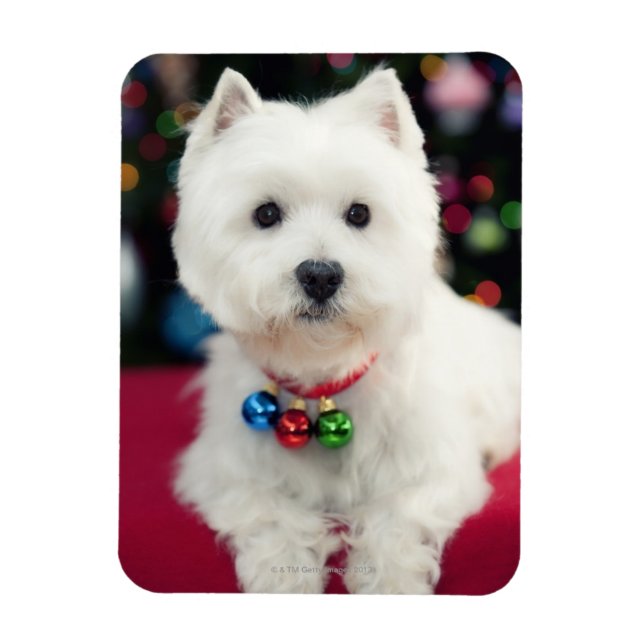 Imán Cachorro de Navidad con campana en el cuello (Vertical)
