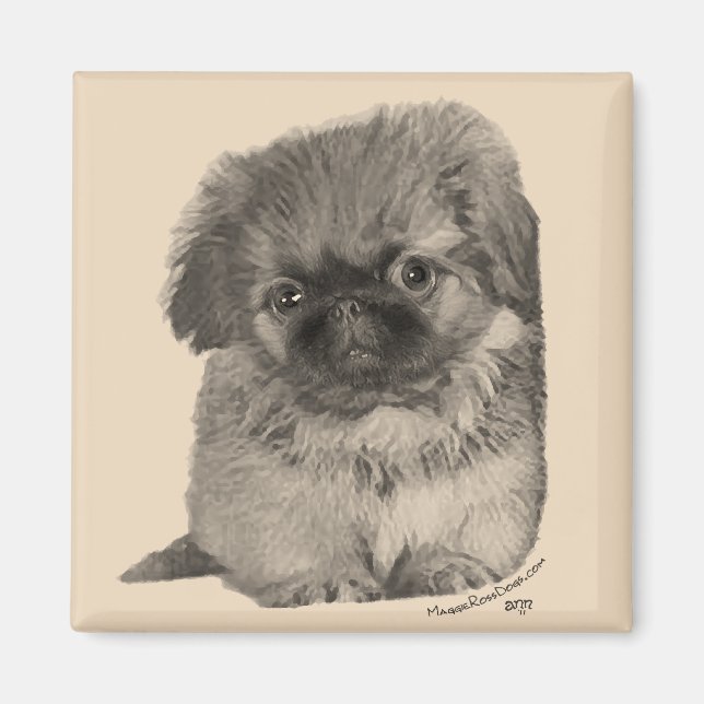 Imán Cachorro de Pekín (Frente)