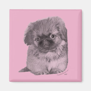 Imán Cachorro de Pekín en Rosa
