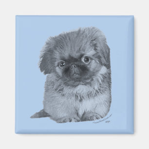Imán Cachorro de Pekinés Azul
