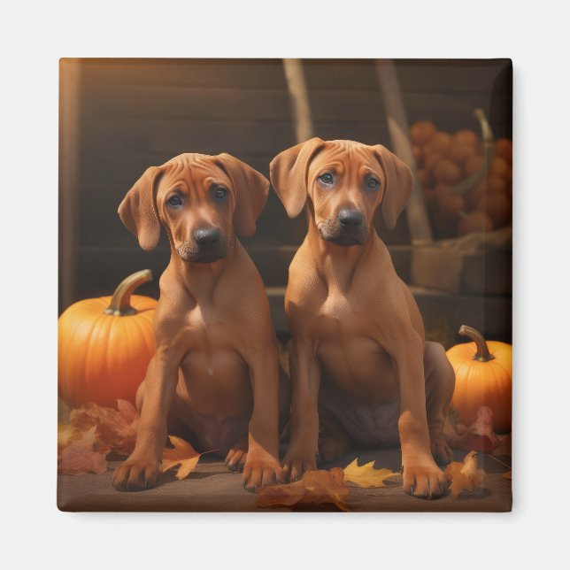 Imán Cachorro de Ridgeback Rhodesiano Delicia de Otoño  (Frente)