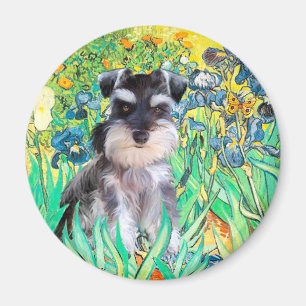 Imán Cachorro de Schnauzer 10Znat - Lirios