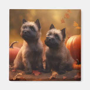 Imán Cachorro de Terrier Cairn Delicia de Otoño Calabaz