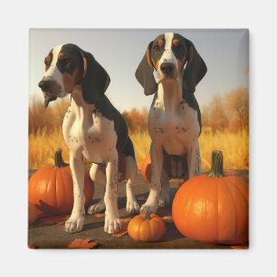 Imán Cachorro de Treeing Walker Coonhound Calabaza de O