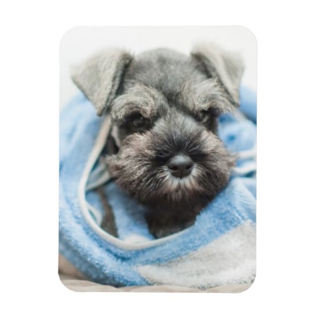Imán Cachorro después de baño (Vertical)