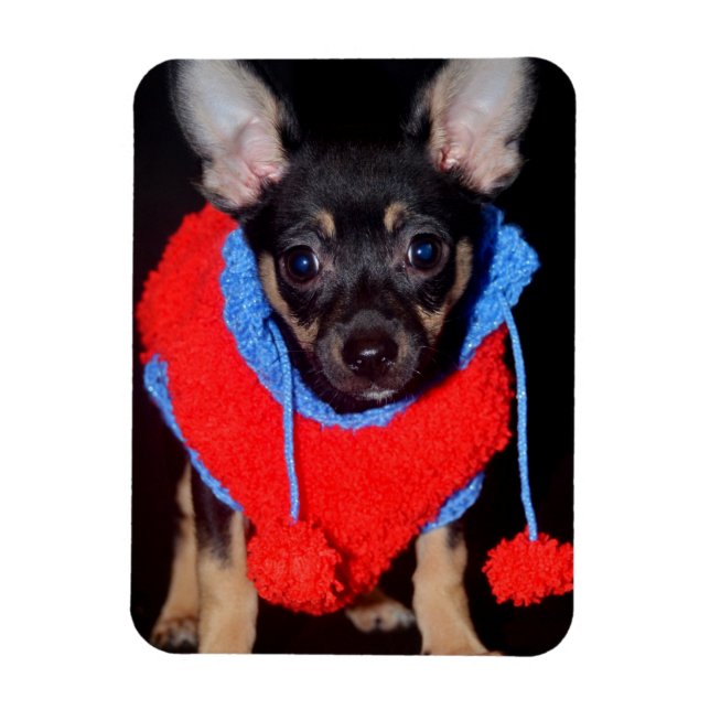Imán Cachorro en suéter de lana roja (Vertical)