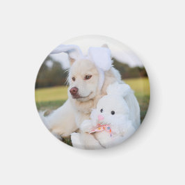 Imán Cachorro finlandés blanco