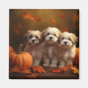 Imán Cachorro Havanés Delicia de Otoño Calabaza