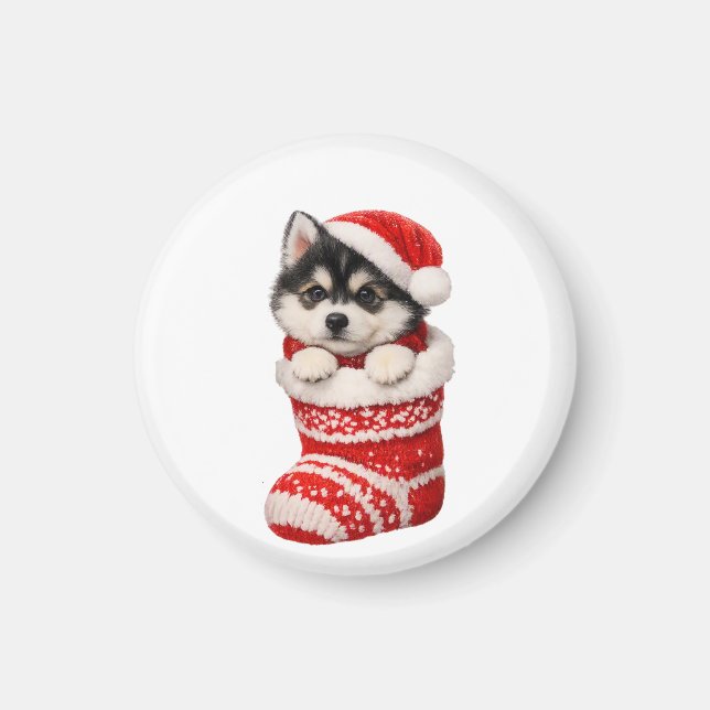 Imán Cachorro Husky de Navidad  (Frente)