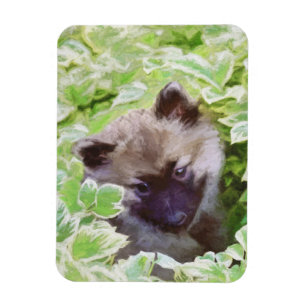 Imán Cachorro Keeshond en el Jardín Pintura Arte Origin
