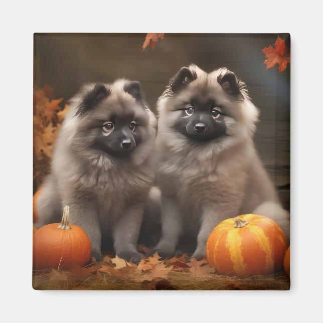 Imán Cachorro Keeshond Otoño Delicia Calabaza (Frente)