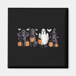 Imán Cachorro Labrador Negro Adorable Calabaza de Hallo