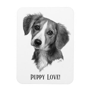 Imán Cachorro personalizado