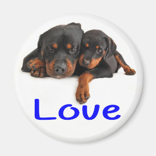 Imán Cachorro Rottweiler Marrón y Negro Amor