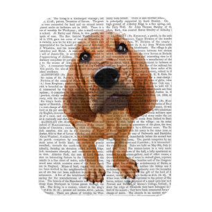 Imán Cachorro sangriento