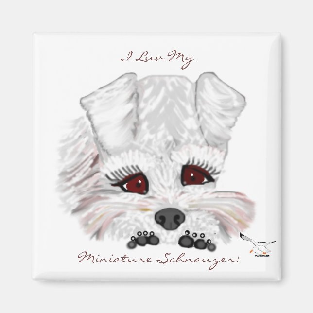 Imán Cachorro Schnauzer en miniatura (Frente)